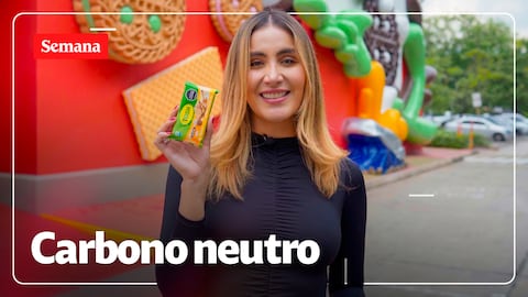 La ruta para ser una empresa carbono neutro