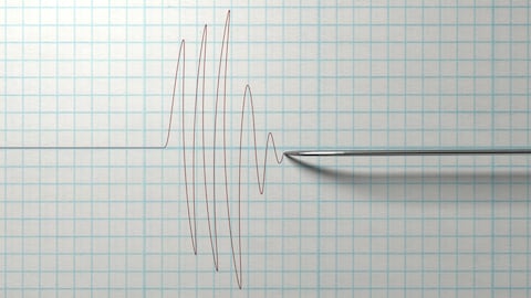 En las redes sociales y medios de comunicación, se difundieron rápidamente los reportes sobre el sismo, despertando la atención de los residentes de Lima y zonas cercanas.