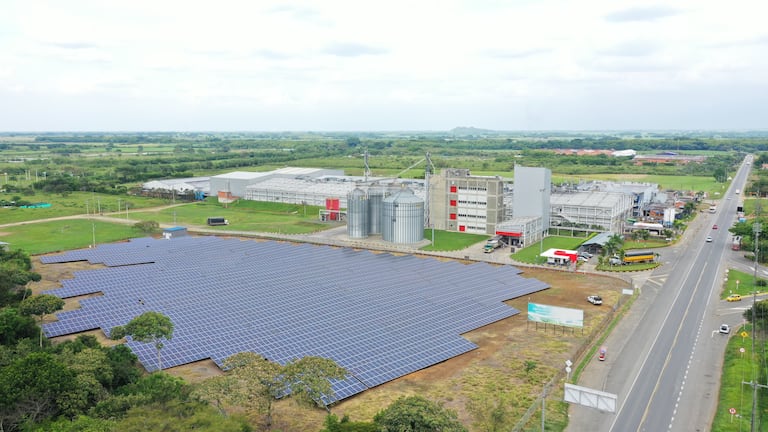 Impulsar el desarrollo regional y el uso de energía renovable son algunos de sus propósitos de Colombina.