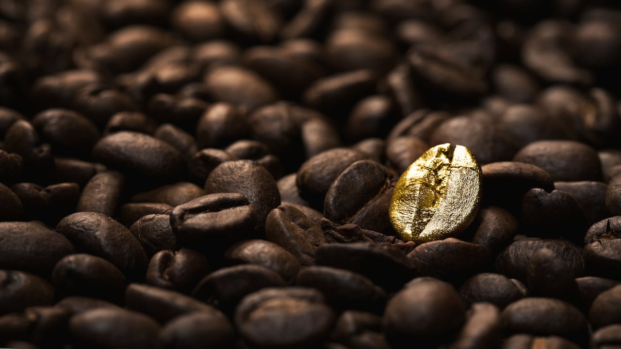 Una tradición que le da la vuelta al mundo, Reportaje Café de alta calidad, con más potencial, Especial Colombia Paìs de Oportunidades