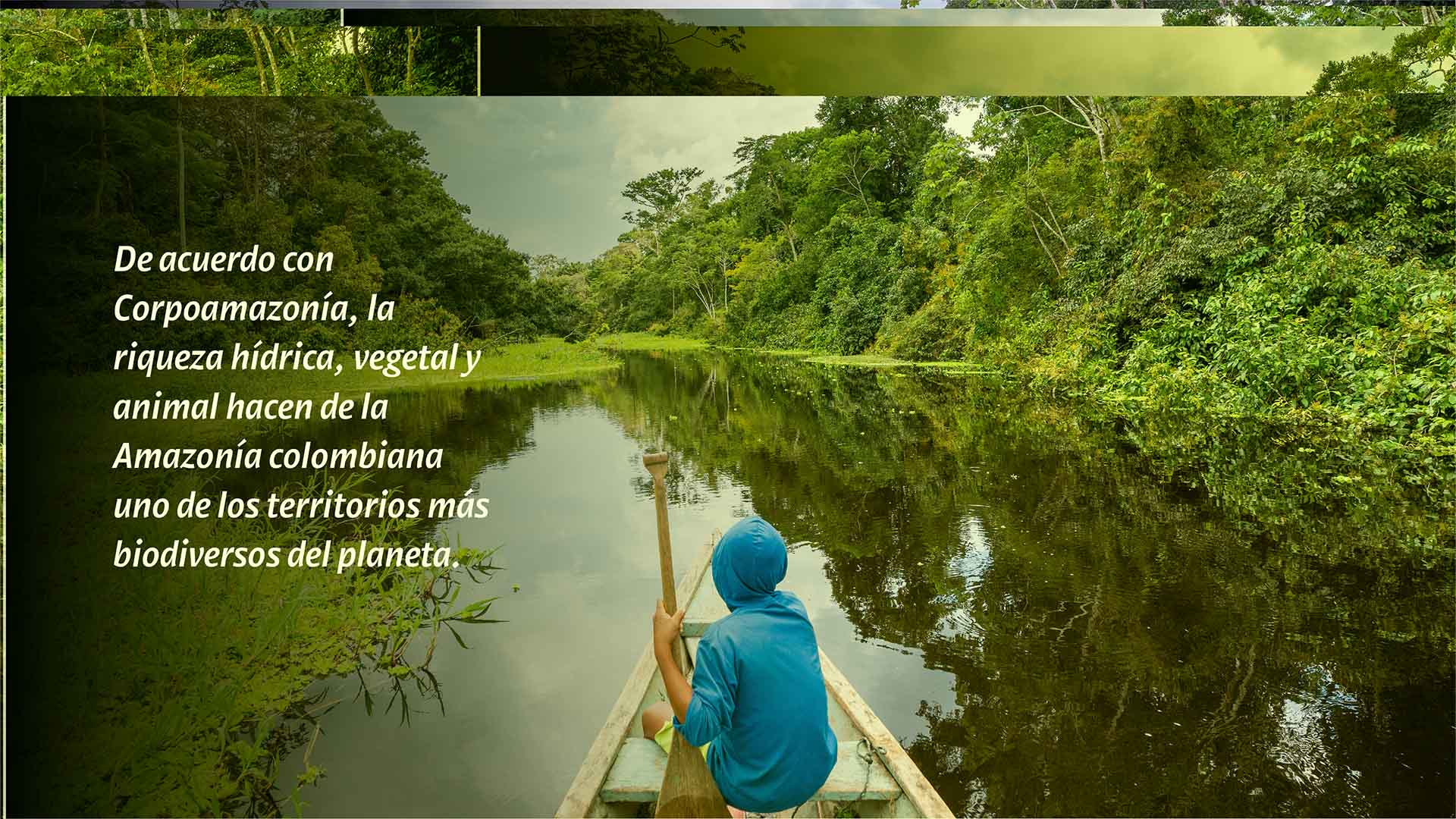 Colombia, paraíso de diversidad