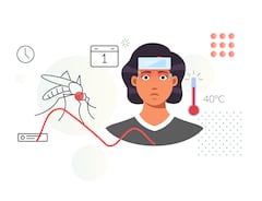 Dengue Fever (DENV) - Key Symptom-High Fever - Stock Illustration as EPS 10 File