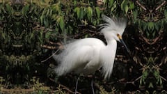 Biodiversidad