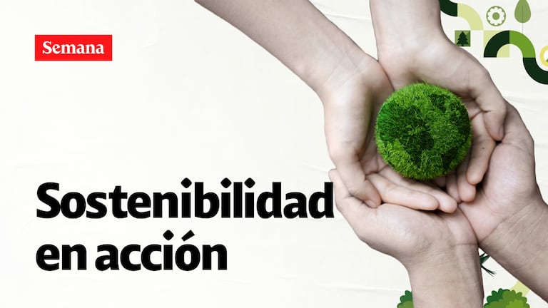 De la teoría a la práctica: ¿cómo las empresas luchan contra el cambio climático?